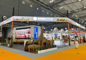 湖南高桥大市场闪耀2025食餐会：中非自贸显成果、绿色展装有担当